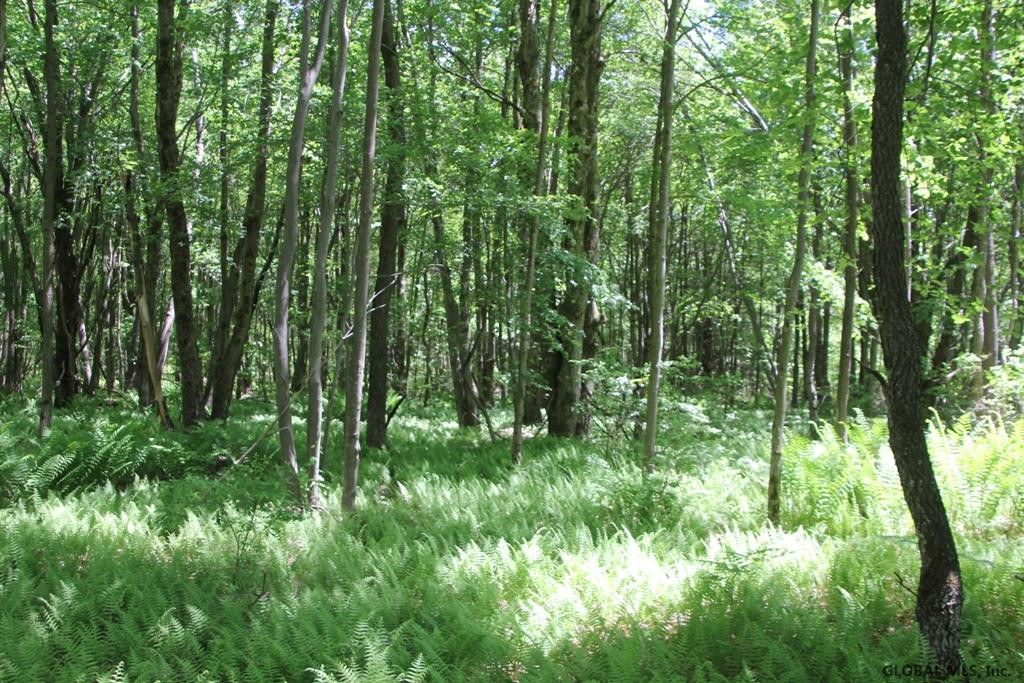 855 Thoroughbred Road Walton, NY 13856 - Photo 9 of 26 Photo 9