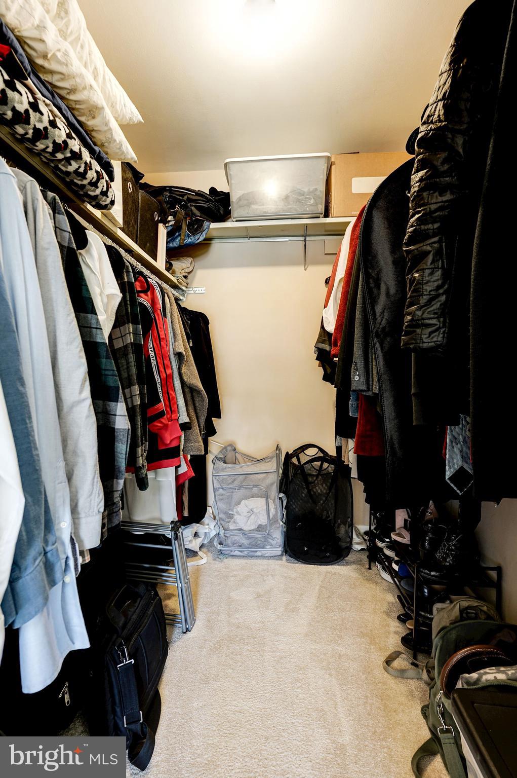 6135 Edsall Road, Unit H Alexandria, VA 22304 - Photo 23 of 30 Walk-in Closet
