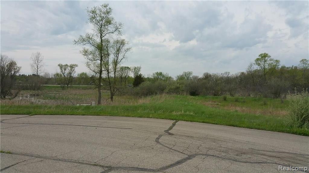 Lot 7 Marsh Ridge Brighton, MI 48114 - Photo 7 of 10