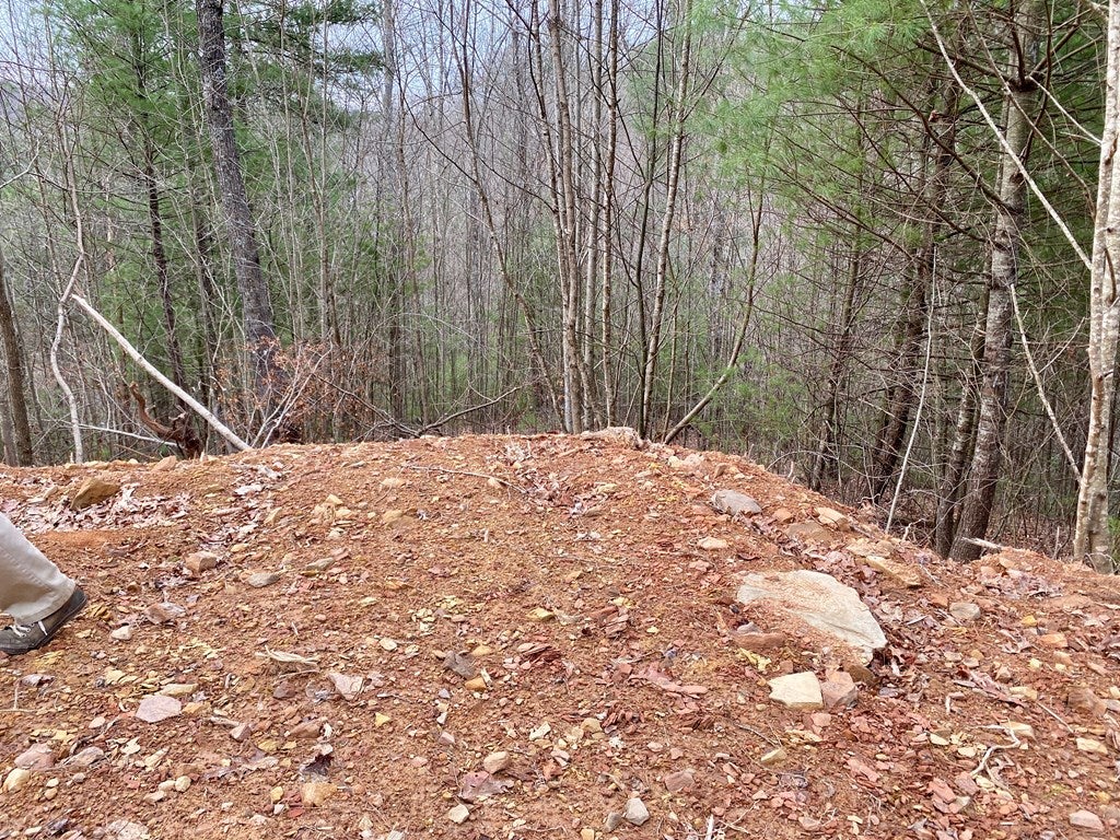 Tbd Jasper Creek Road Bristol, VA 24202 - Photo 17 of 21 Gallery Image 17