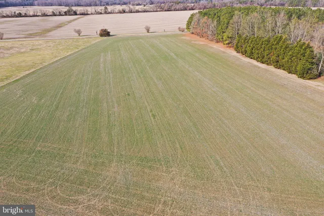a view of a swimming pool