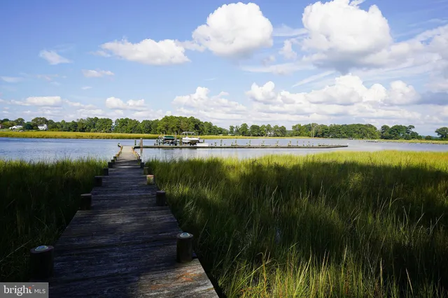 a view of a lake with a garden