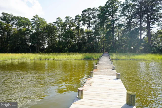 a view of a lake with a large trees