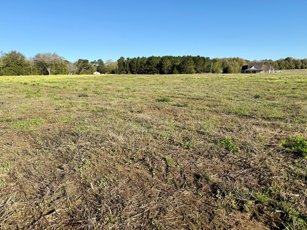 3.42-acres Omussee Road Cowarts, AL 36321 - Photo 7 of 13