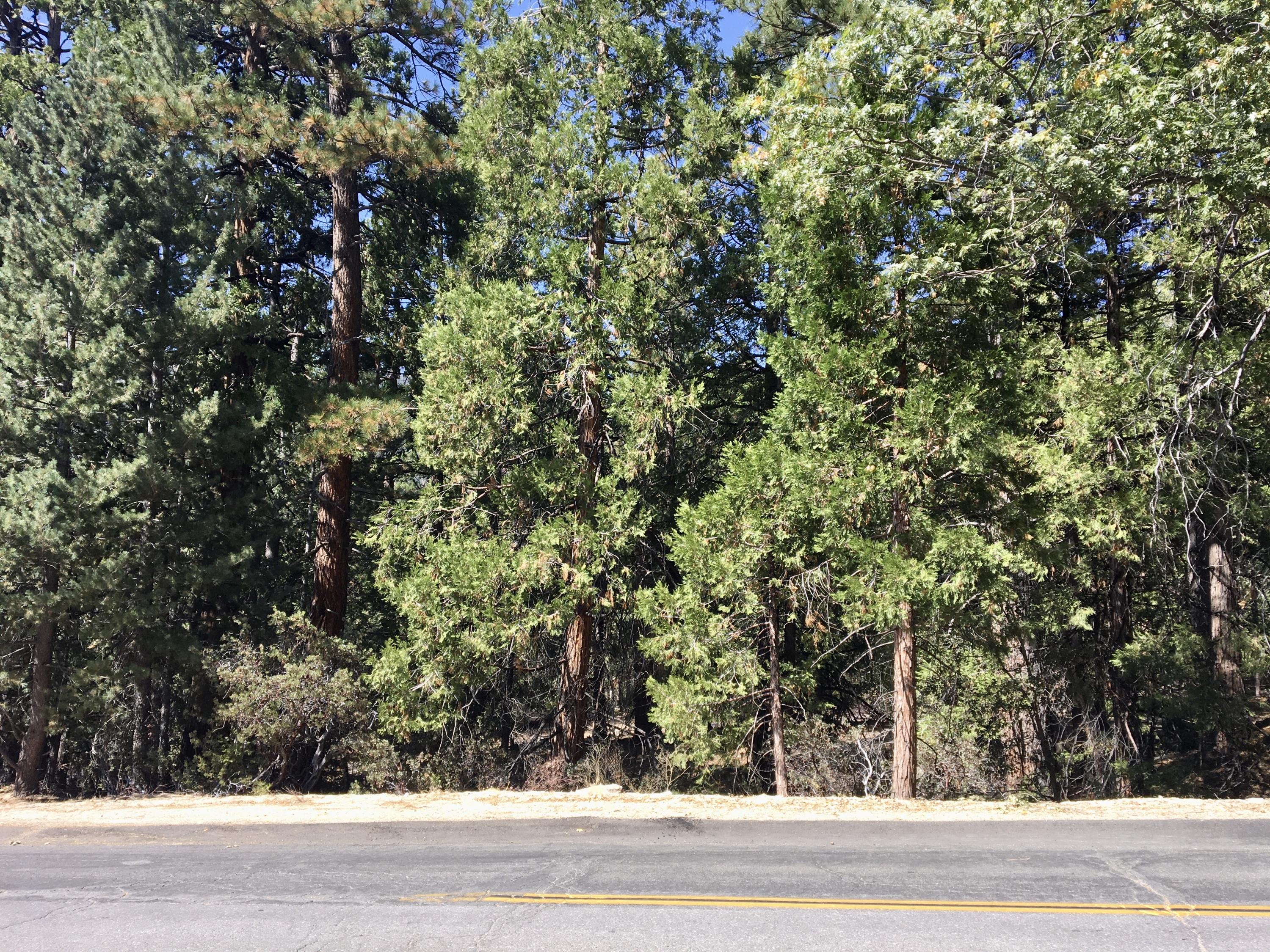 0 Fern Valley Road Idyllwild, CA 92549 - Photo 4 of 6 IMG_4565