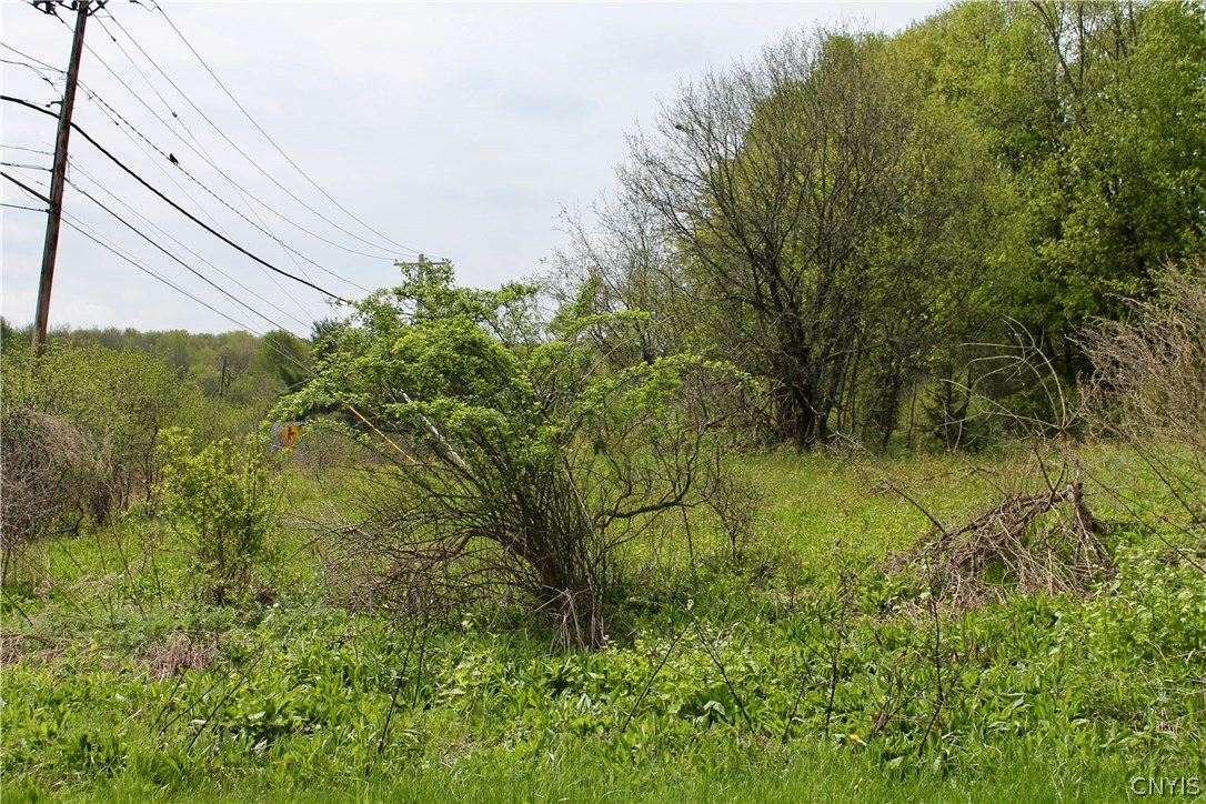 0 Split Rock Road Camillus, NY 13031 - Photo 12 of 13