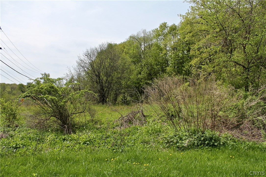 0 Split Rock Road Camillus, NY 13031 - Photo 13 of 13