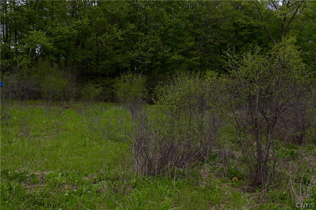 0 Split Rock Road Camillus, NY 13031 - Photo 2 of 13