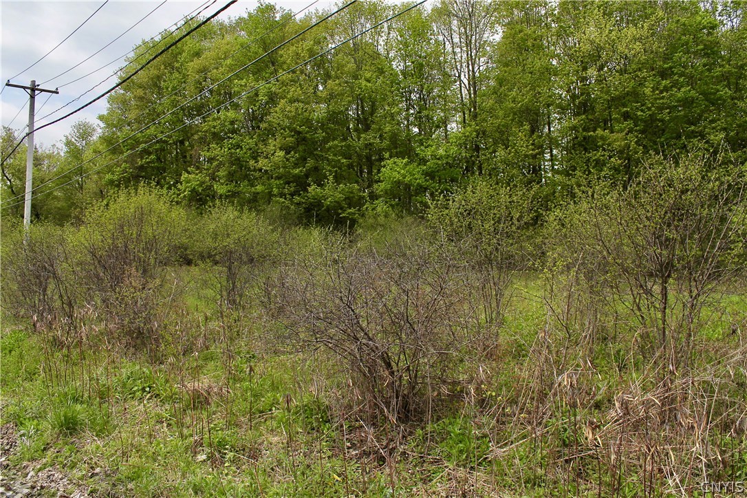 0 Split Rock Road Camillus, NY 13031 - Photo 3 of 13