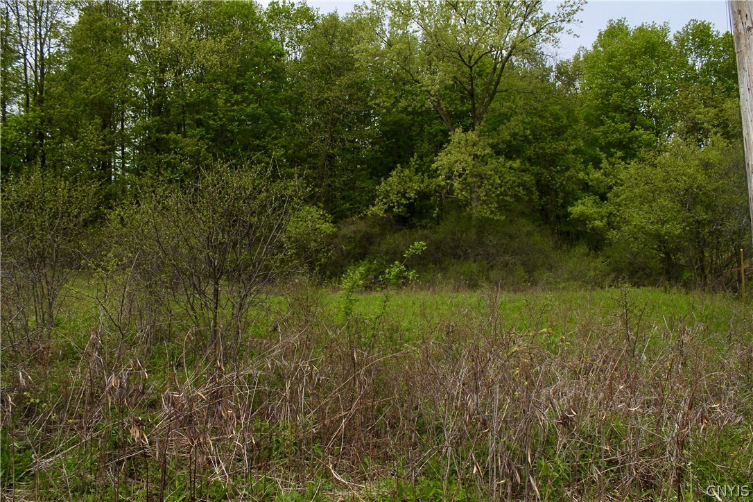 0 Split Rock Road Camillus, NY 13031 - Photo 4 of 13