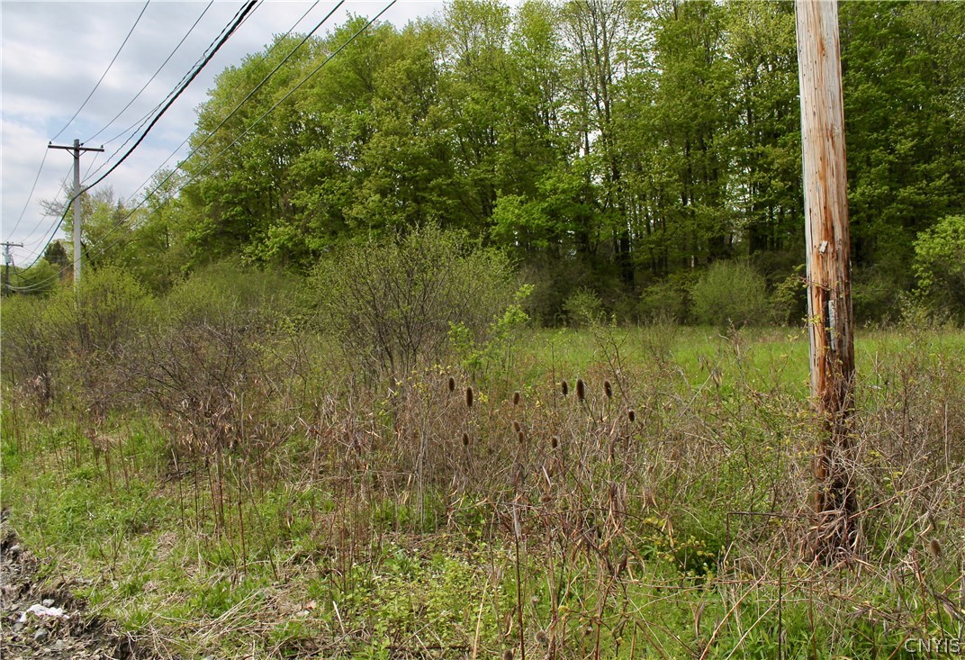 0 Split Rock Road Camillus, NY 13031 - Photo 5 of 13