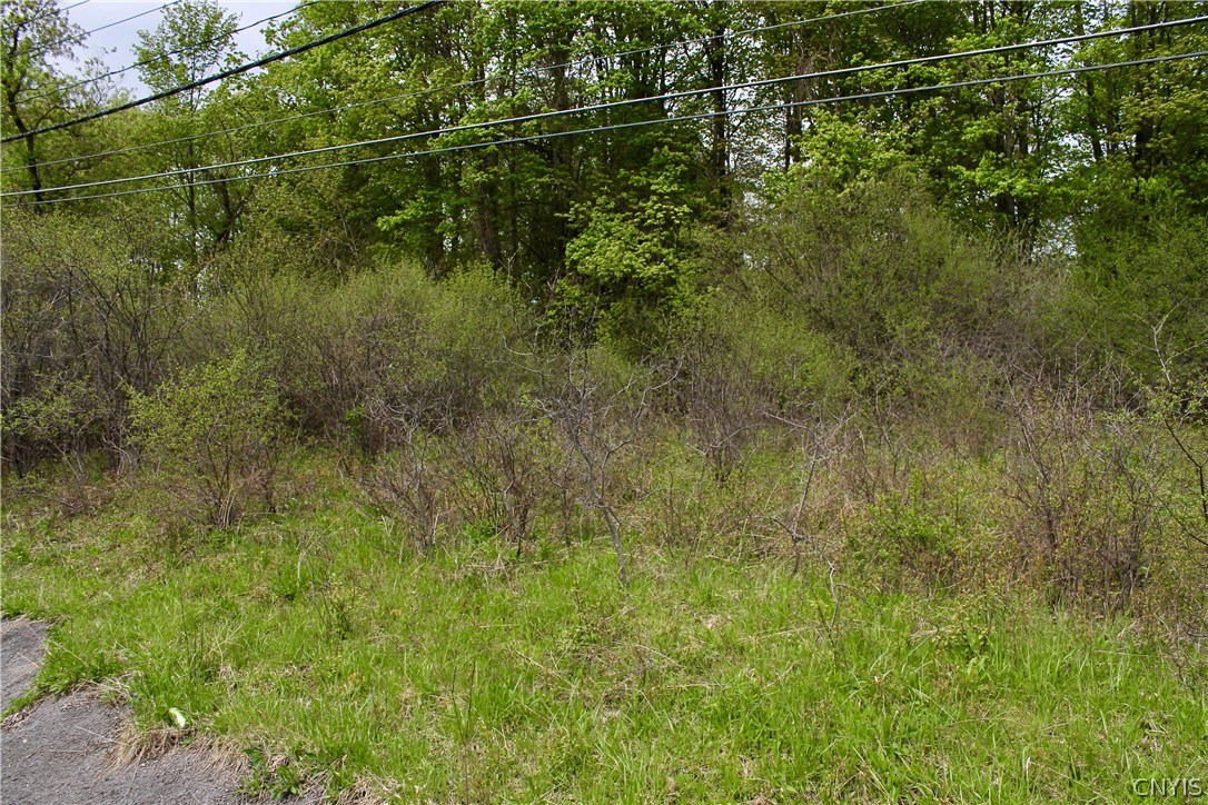 0 Split Rock Road Camillus, NY 13031 - Photo 6 of 13