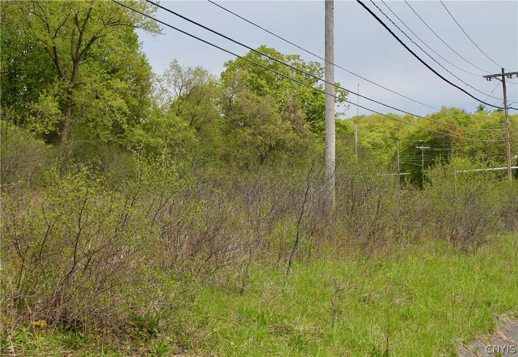 0 Split Rock Road Camillus, NY 13031 - Photo 7 of 13