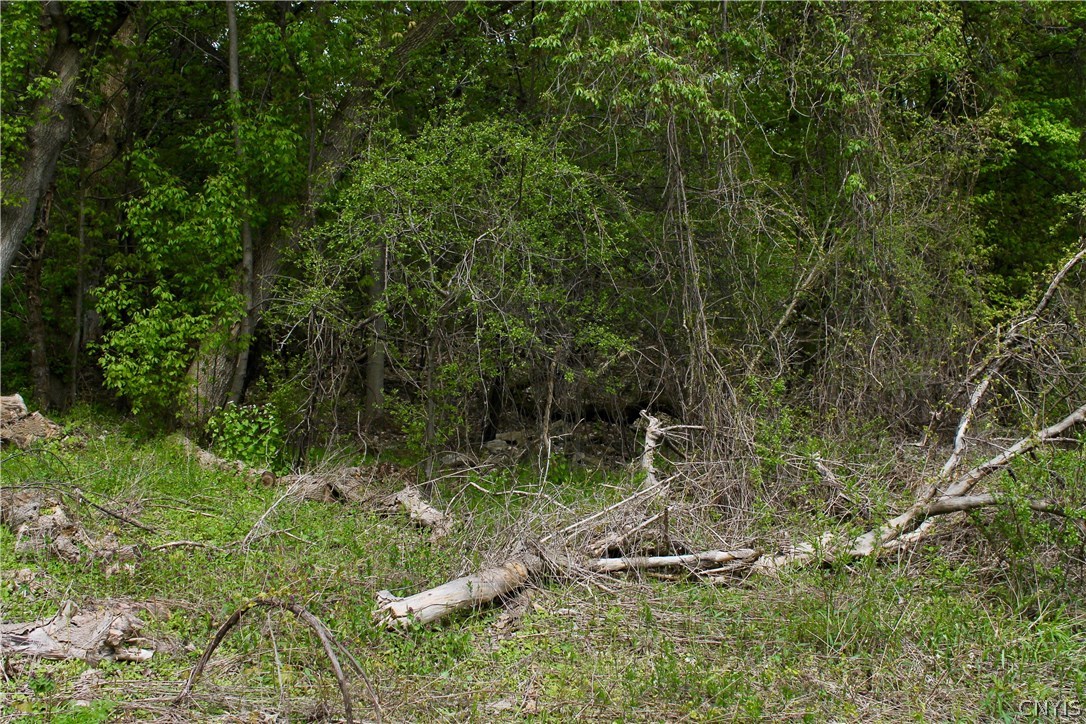 0 Split Rock Road Camillus, NY 13031 - Photo 8 of 13