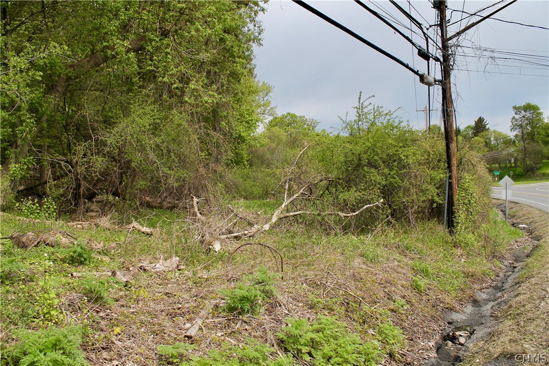 0 Split Rock Road Camillus, NY 13031 - Photo 9 of 13