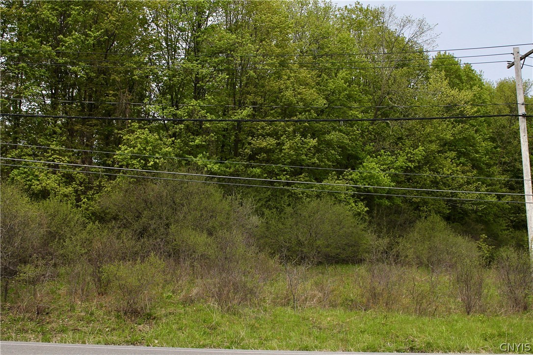 0 Split Rock Road Camillus, NY 13031 - Photo 10 of 13