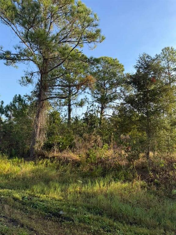 a view of a lake with houses