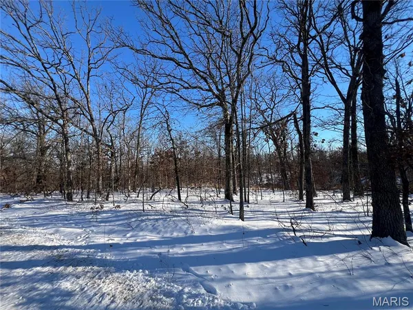 $29,900 | 0 Partridge Drive, Climax Springs, MO 65324