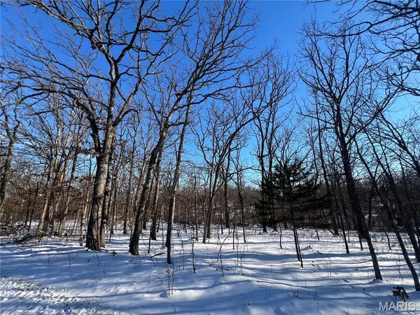 $29,900 | 0 Partridge Drive, Climax Springs, MO 65324