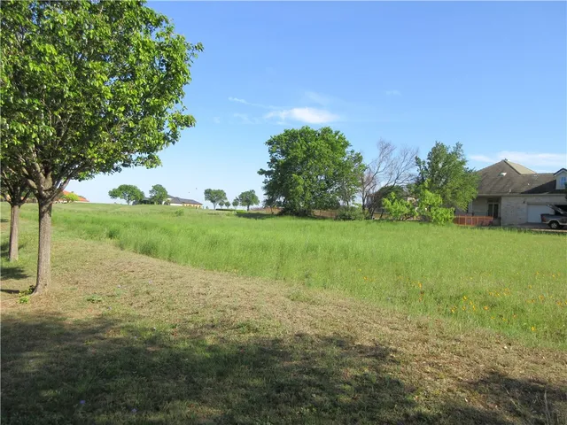 a view of a field with an trees