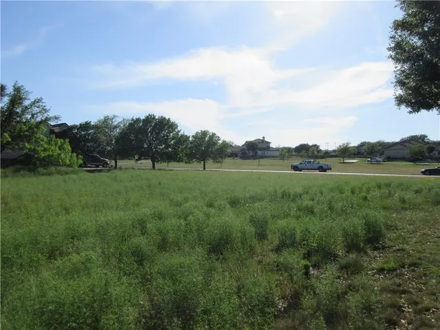 a yard with lots of green space