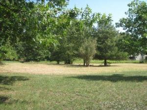 a view of yard with green space