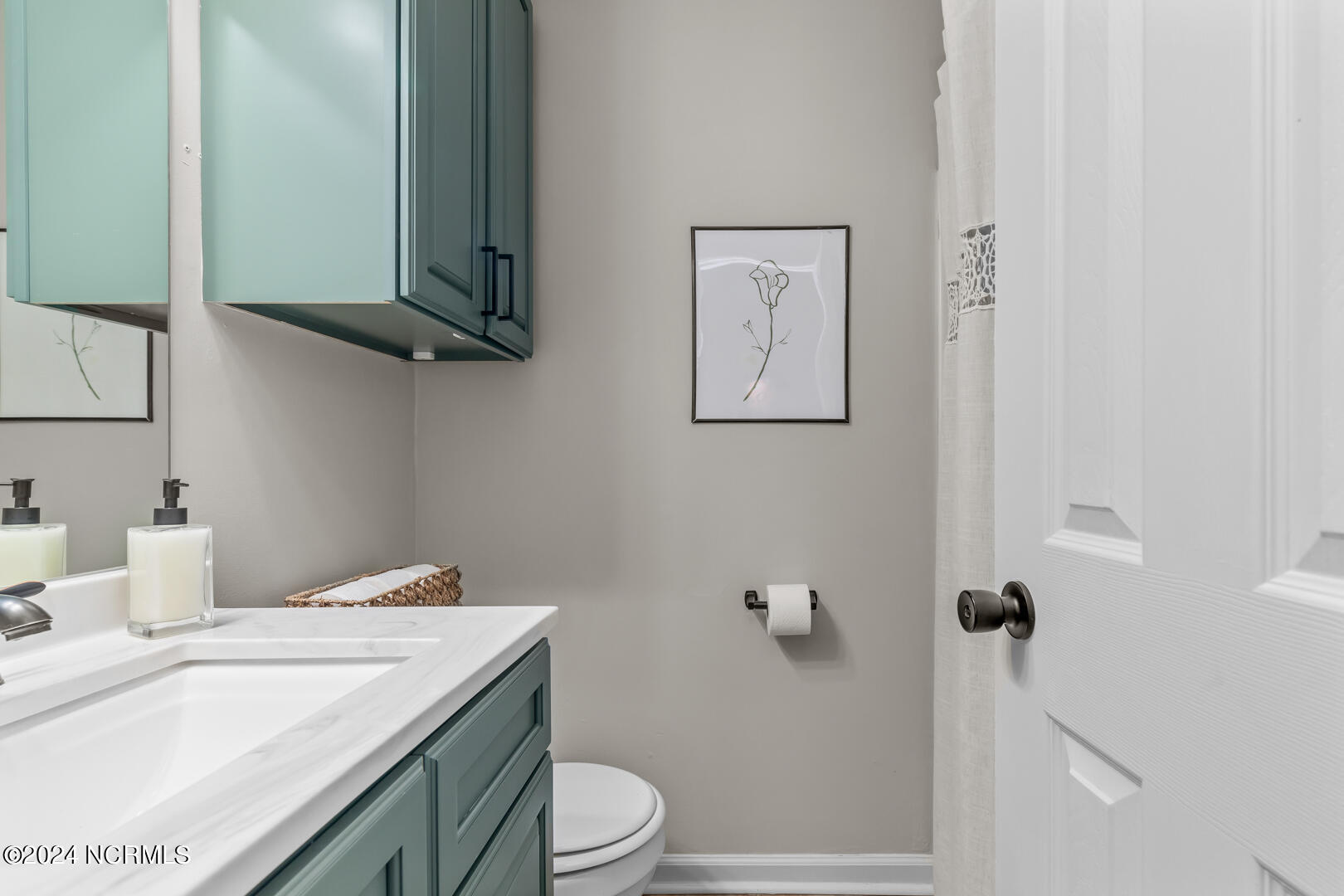 811 Mill River Road Jacksonville, NC 28540 - Photo 25 of 33 28