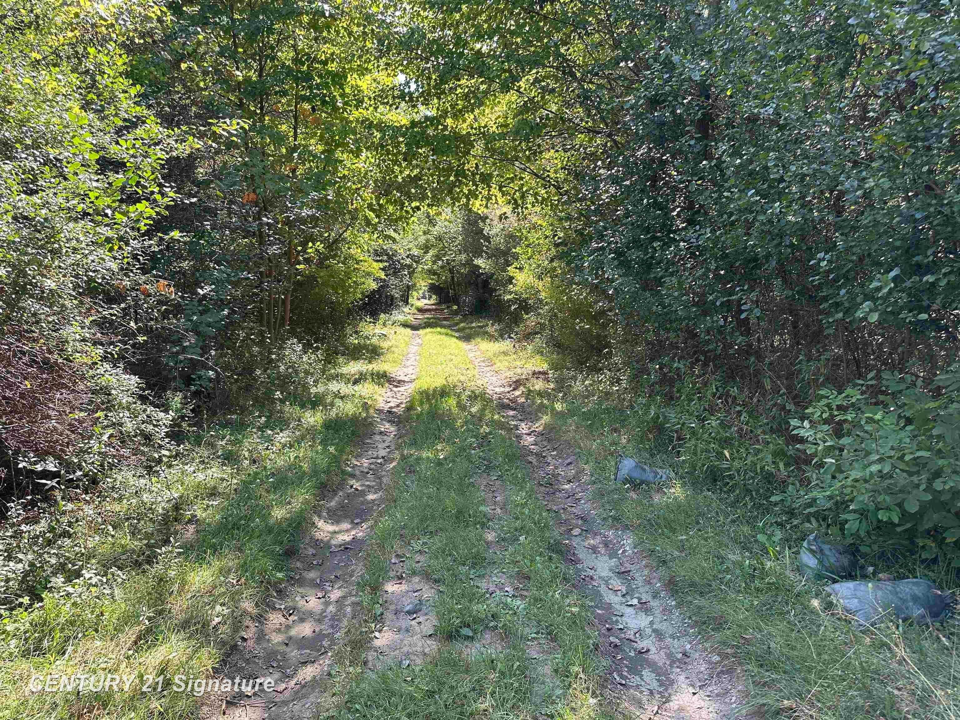 7163 Wilson Road Montrose, MI 48457 - Photo 23 of 42 Gallery Image 23