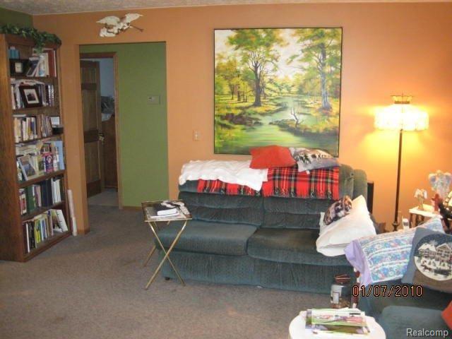 9082 Lamoreaux Road Fowlerville, MI 48836 - Photo 2 of 6 living
