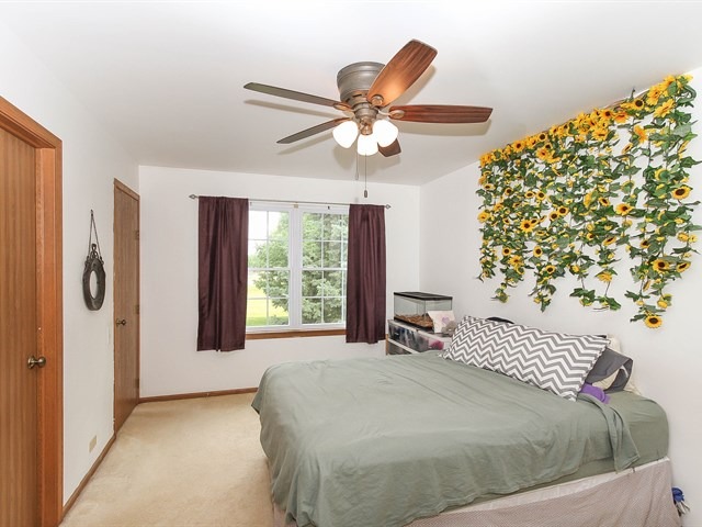 2032 Muirfield Circle Elgin, IL 60123 - Photo 12 of 21