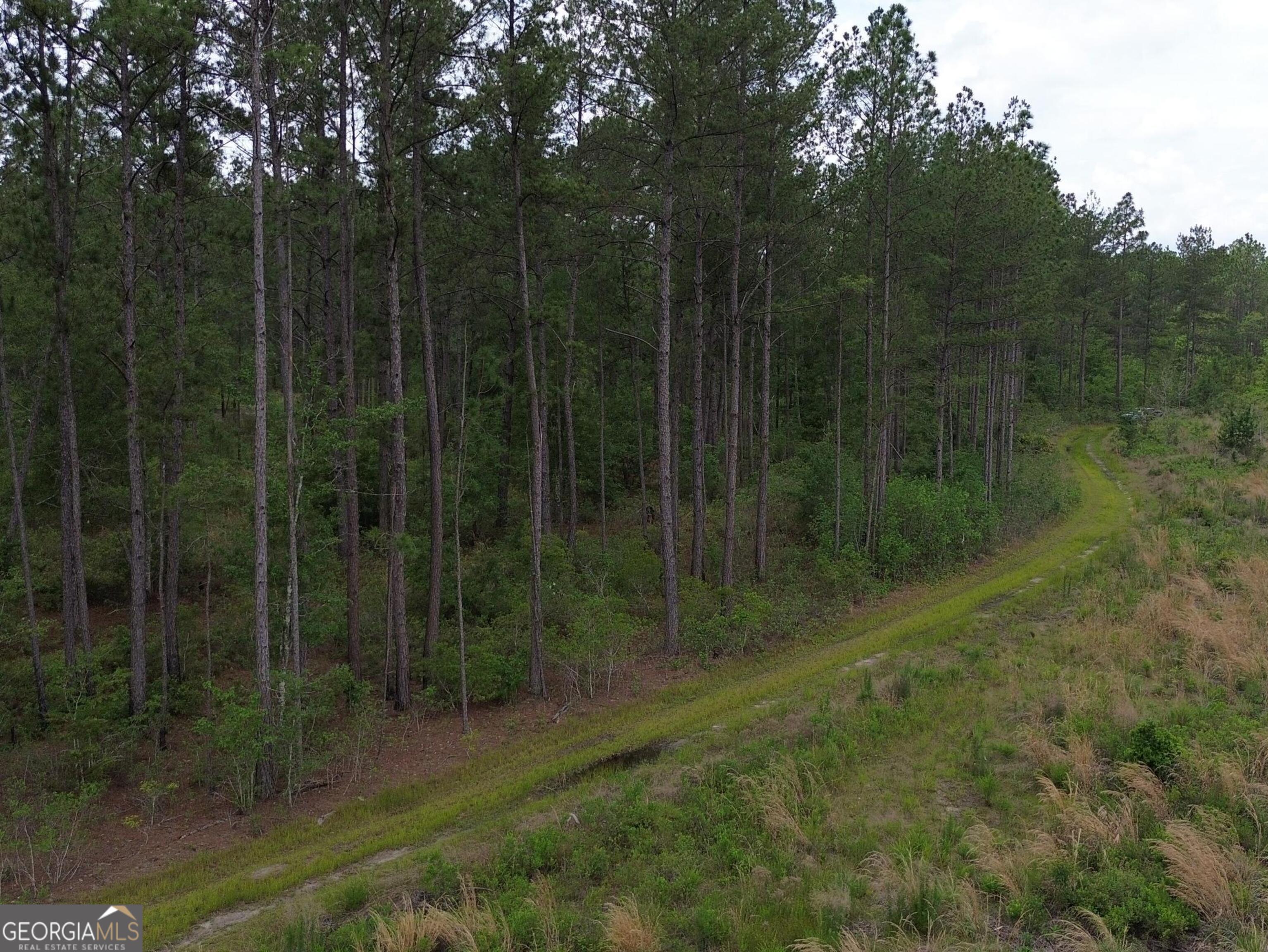 1 Bay Branch Church Road Claxton, GA 30417 - Photo 6 of 10