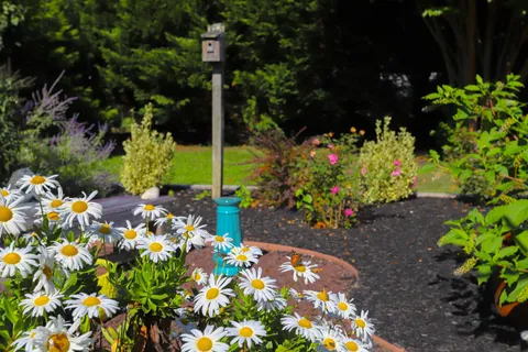 a front view of a house with garden