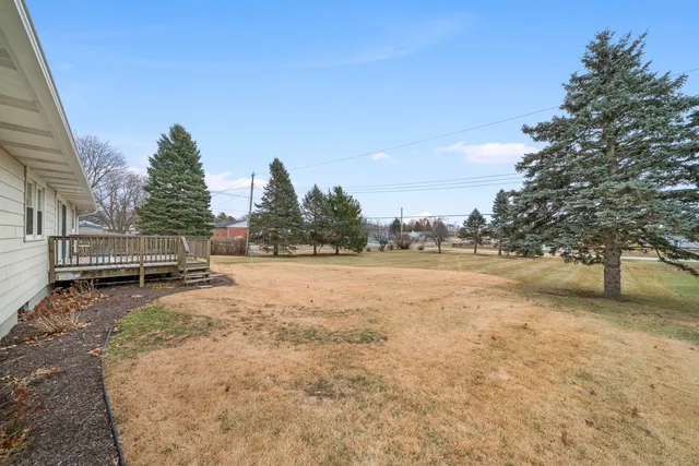 a view of dirt field with trees
