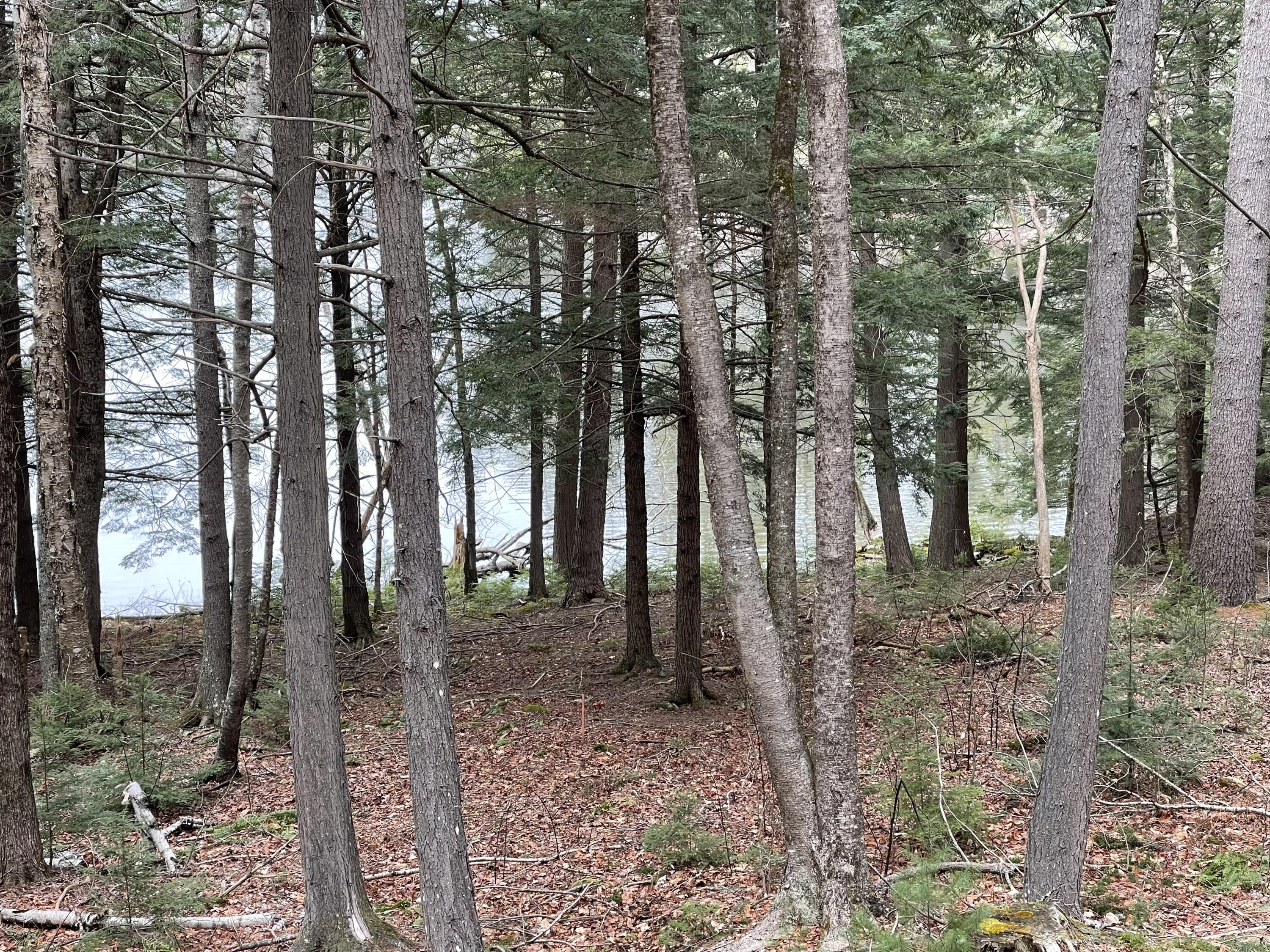 0 Wood Road Jefferson, ME 04348 - Photo 10 of 14