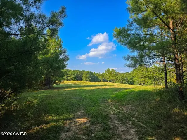 a view of a green field with lots of bushes