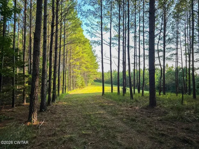 a view of swimming pool and trees in the background