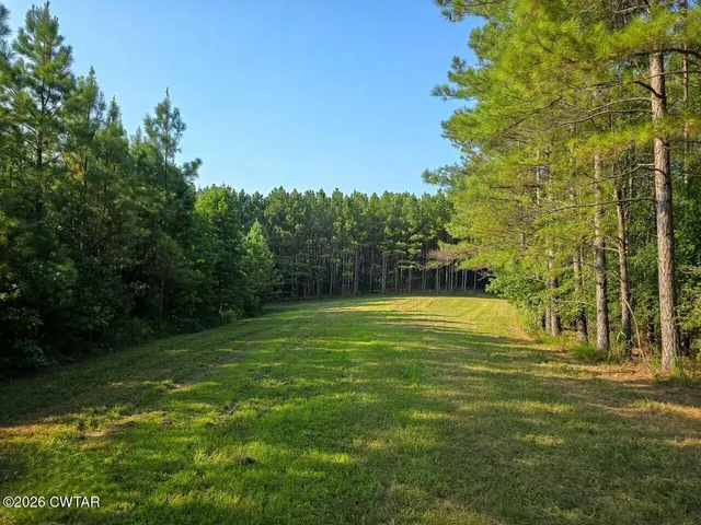 a swimming pool with wooden fence