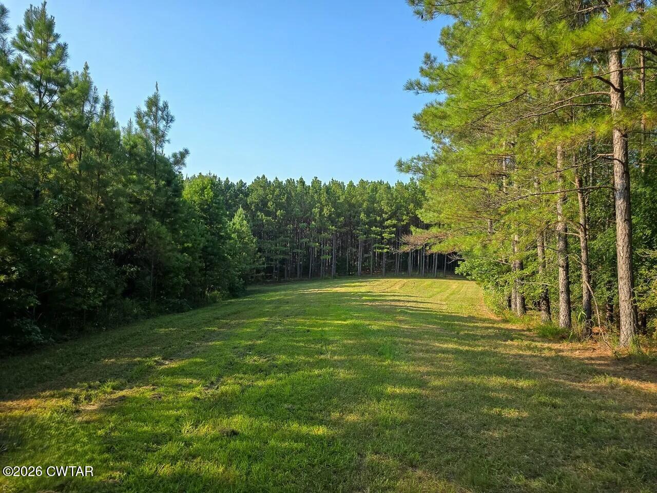 2490 Old Friendship Road Finger, TN 38334 - Photo 41 of 51 40