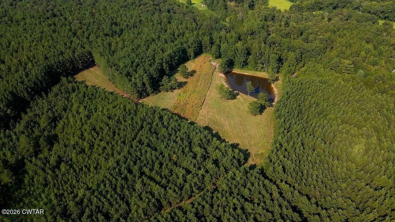 2490 Old Friendship Road Finger, TN 38334 - Photo 47 of 51 46