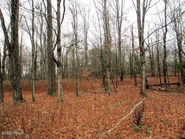 276 Goose Pond Road Lake Ariel, PA 18436 - Photo 6 of 11