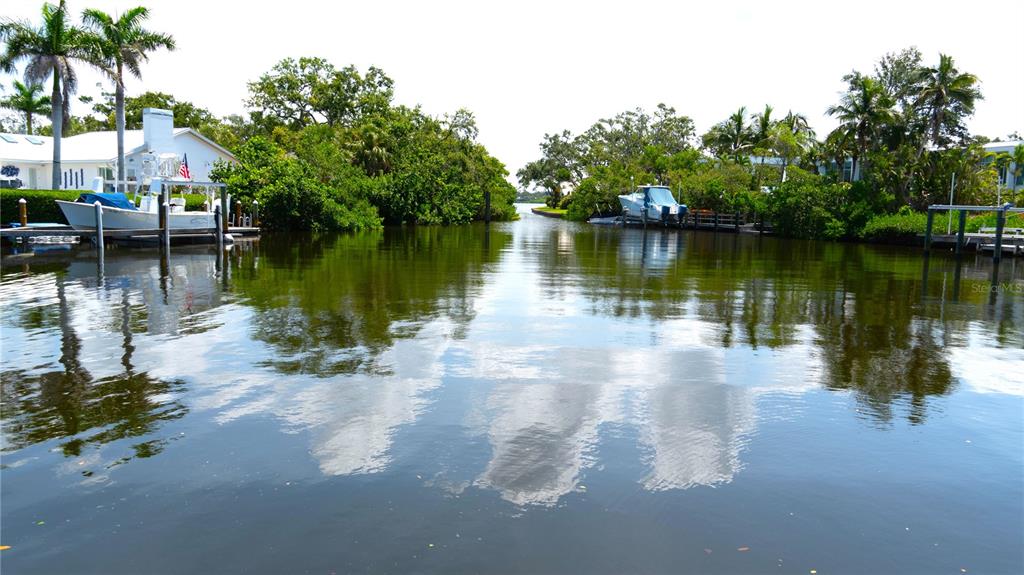 7233 Midnight Pass Road Sarasota, FL 34242 - Photo 10 of 13 a view of a lake with a large trees
