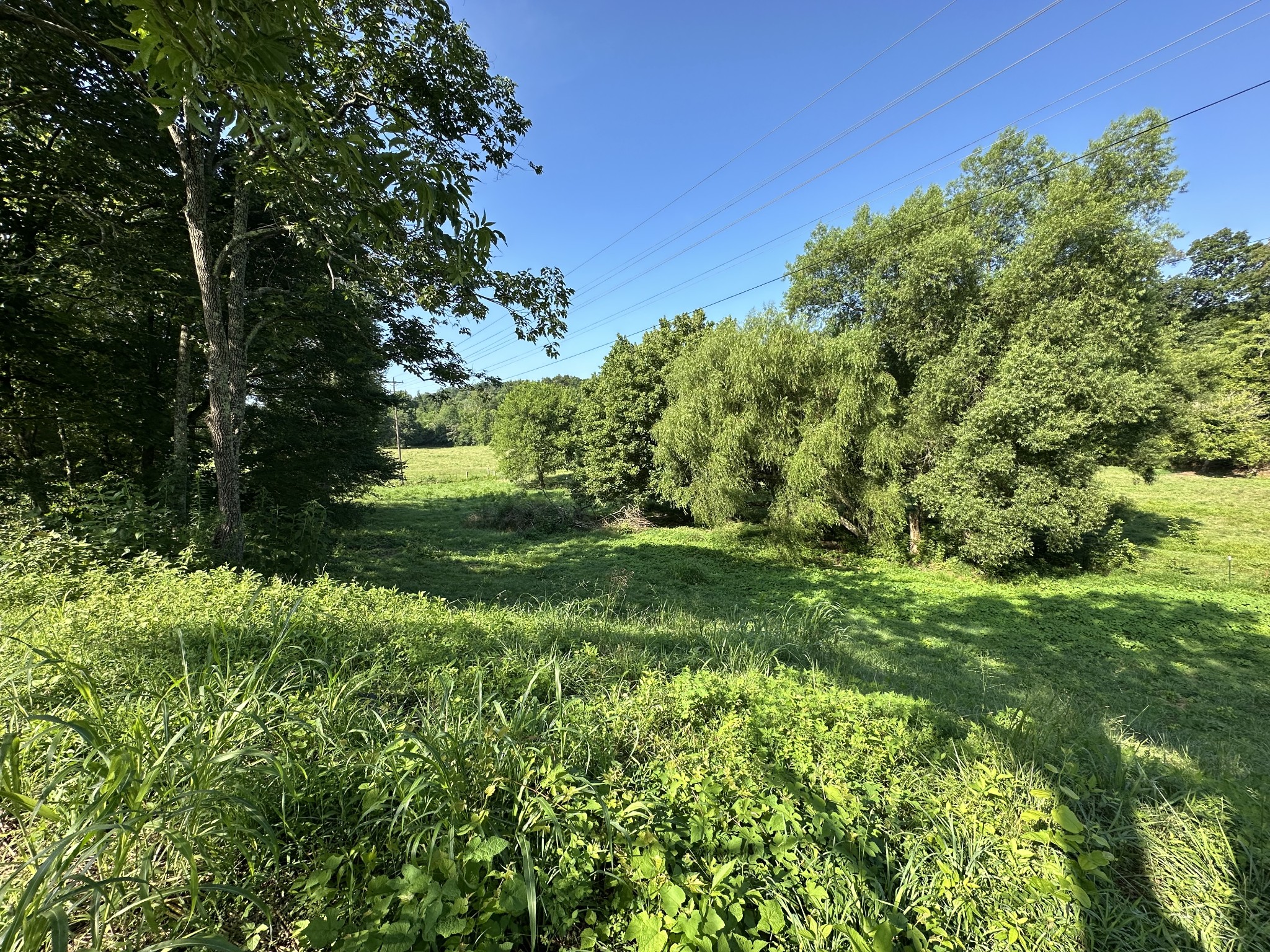 0 Highway 100 West Centerville, TN 37033 - Photo 6 of 10