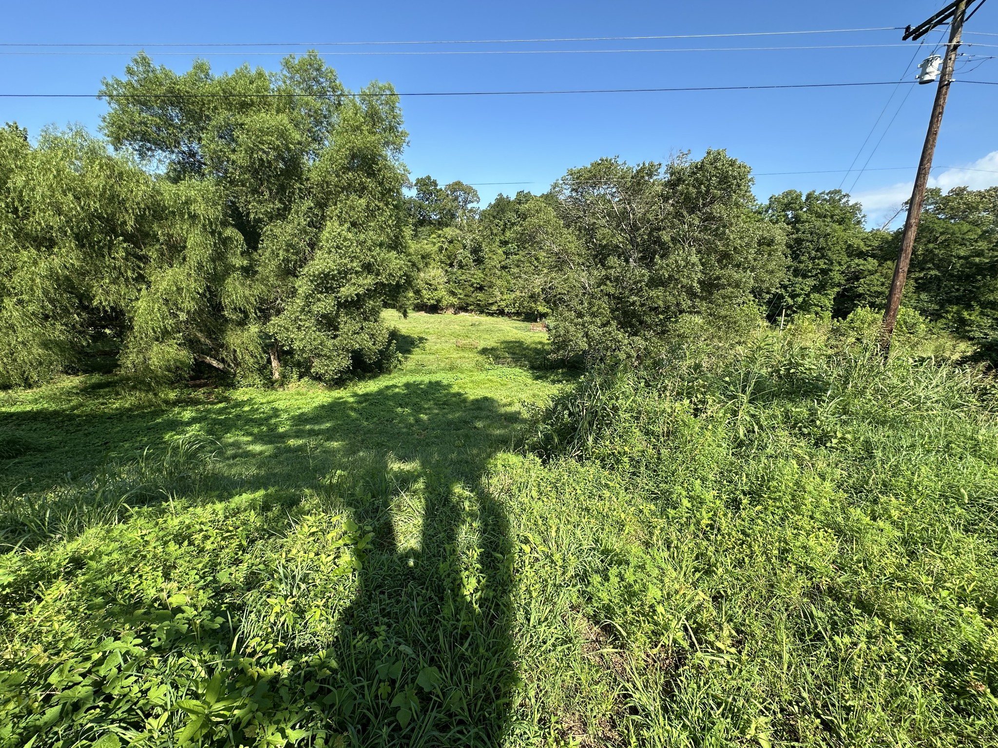 0 Highway 100 West Centerville, TN 37033 - Photo 7 of 10