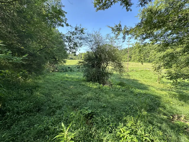 $50,000 | 0 Highway 100 West, Centerville, TN 37033