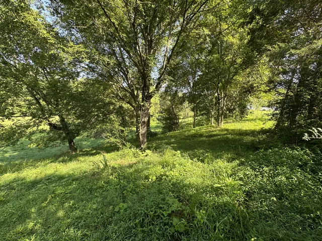 $50,000 | 0 Highway 100 West, Centerville, TN 37033