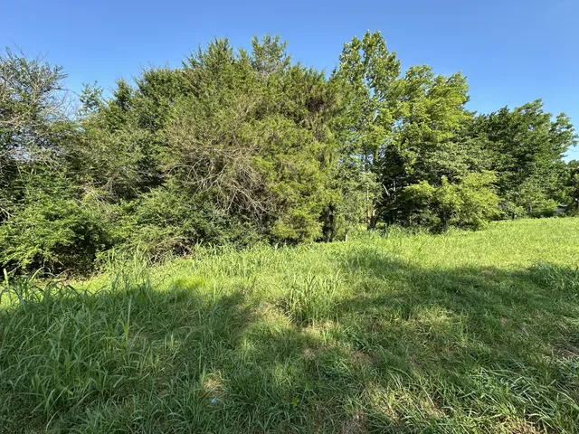 $50,000 | 0 Highway 100 West, Centerville, TN 37033