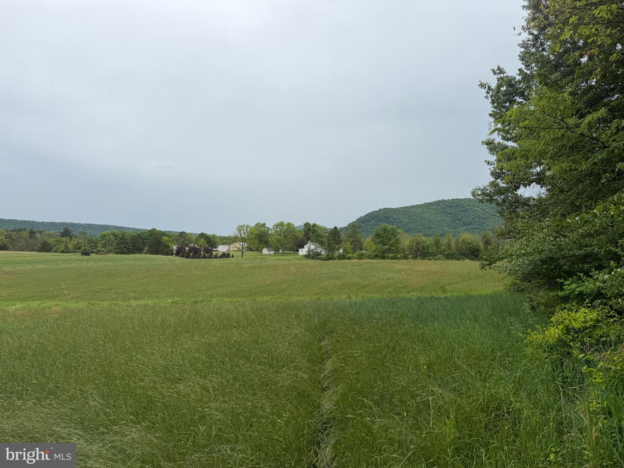 12591 Shimpstown Road Mercersburg, PA 17236 - Photo 48 of 147