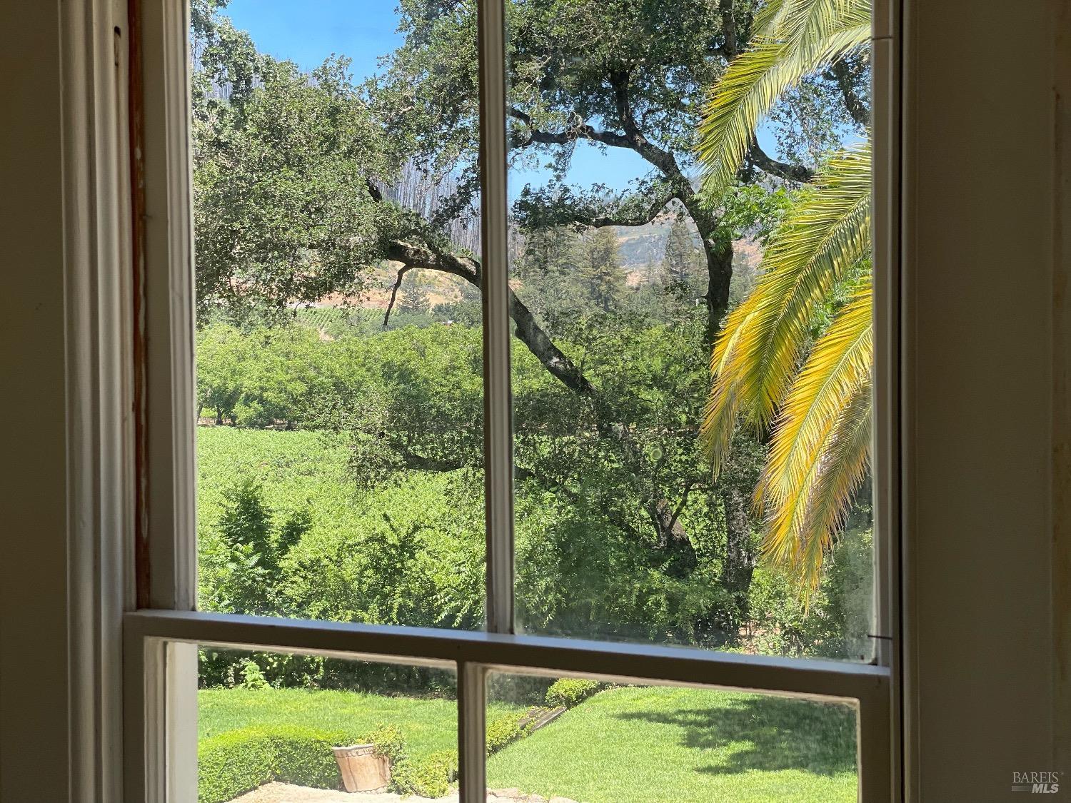 751 Crystal Springs Road St. Helena, CA 94574 - Photo 17 of 25 a view of a garden from a window