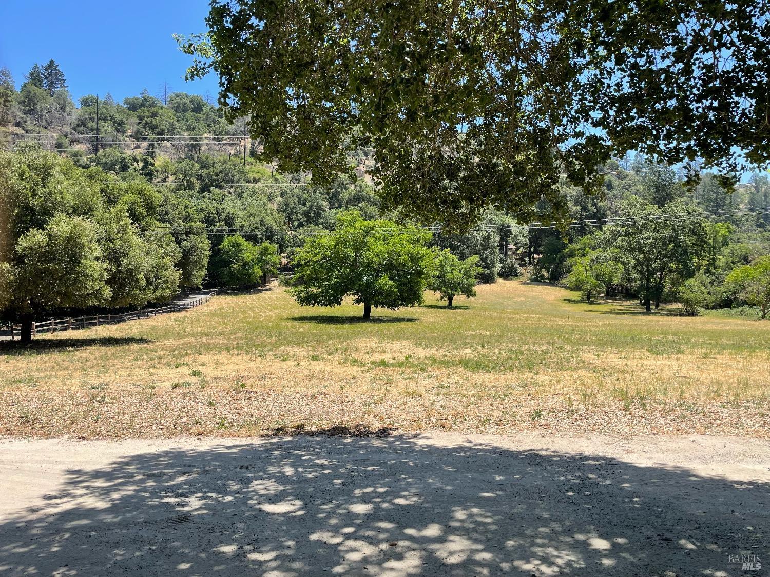 751 Crystal Springs Road St. Helena, CA 94574 - Photo 22 of 25 a view of a yard with an trees