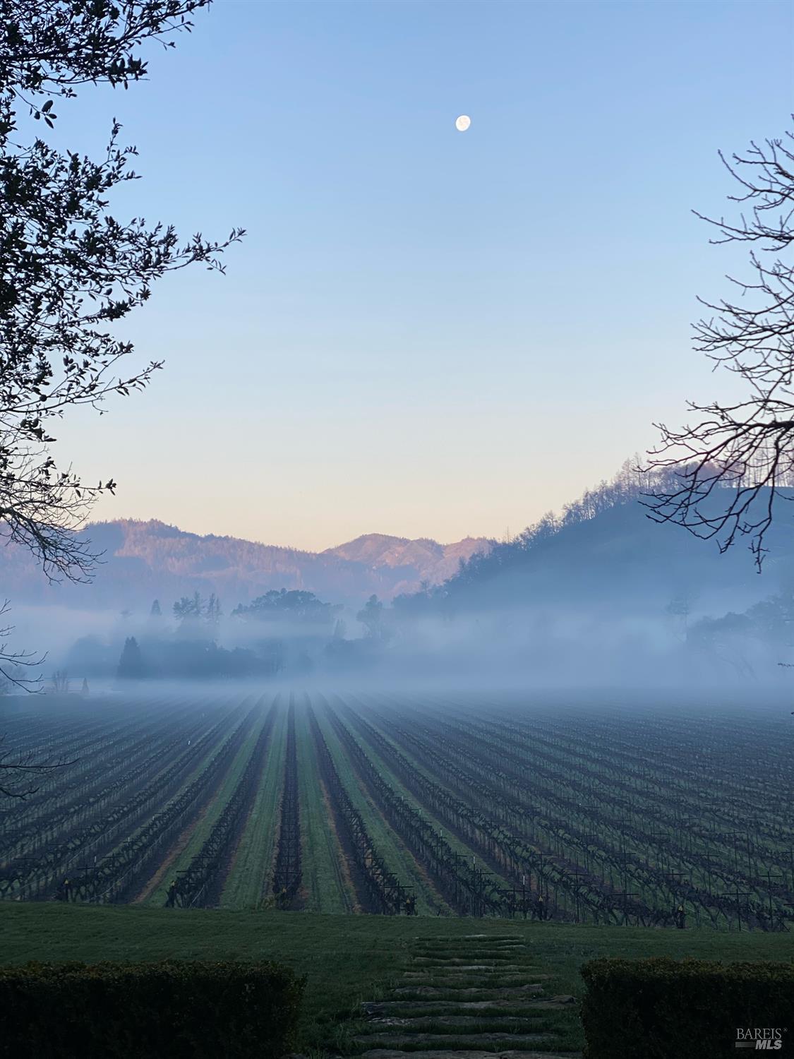 751 Crystal Springs Road St. Helena, CA 94574 - Photo 8 of 25 a view of outdoor space and mountain view